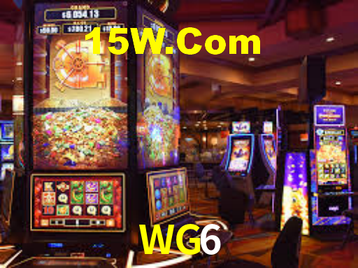 Programa VIP WG6